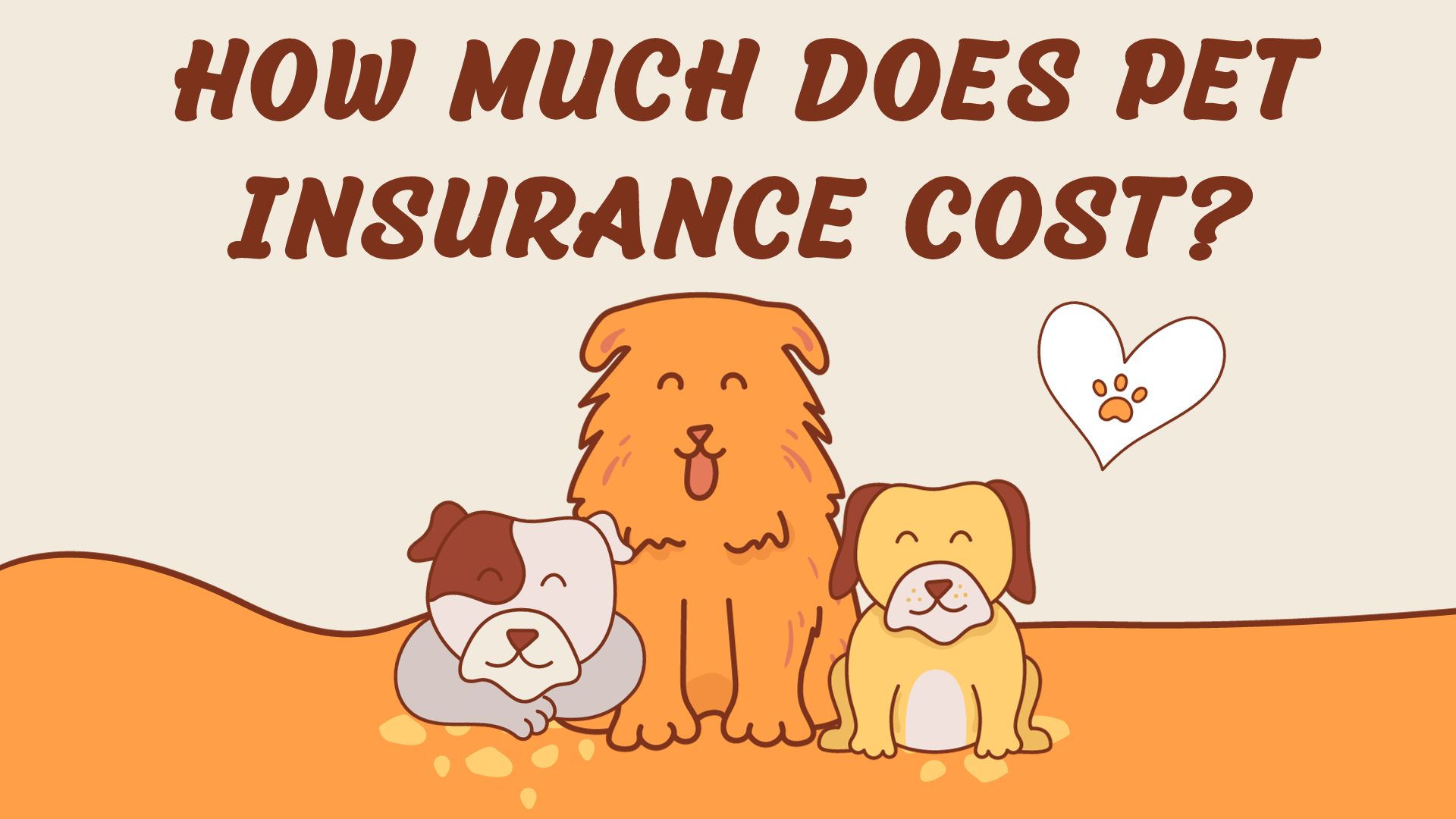 How Much Does Pet Insurance Cost For Cats