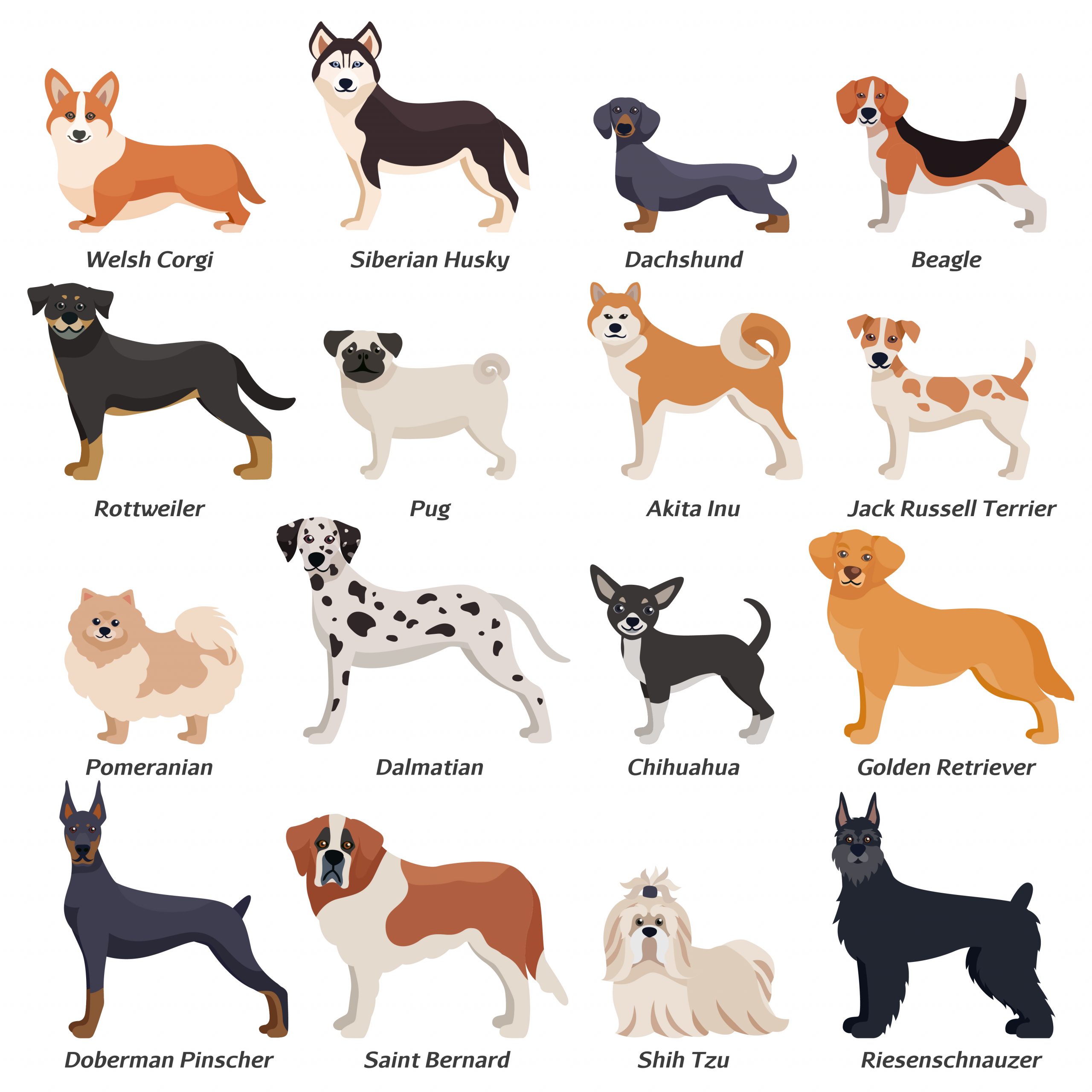 10 Disorders in Purebred vs. MixedBreed Dogs Shortlister