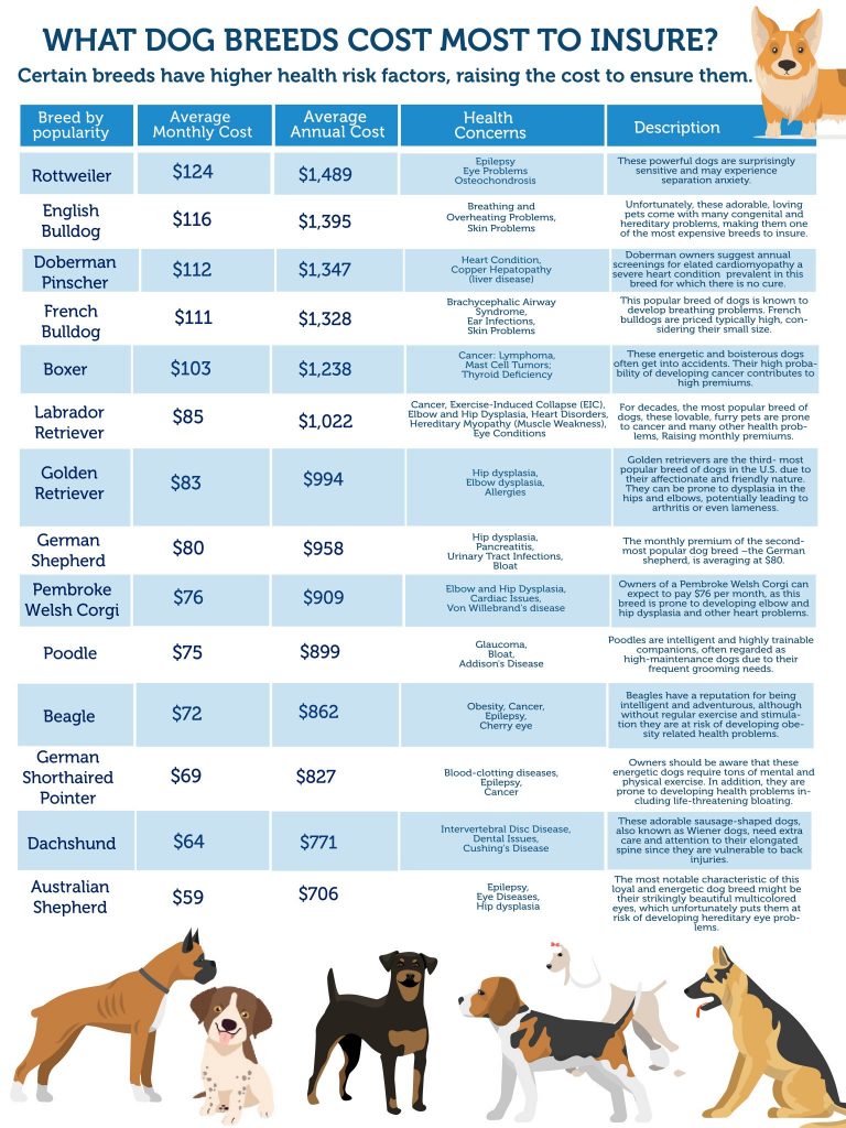 the-cost-of-pet-sitting-in-toms-river-endless-pawsibilities-toms