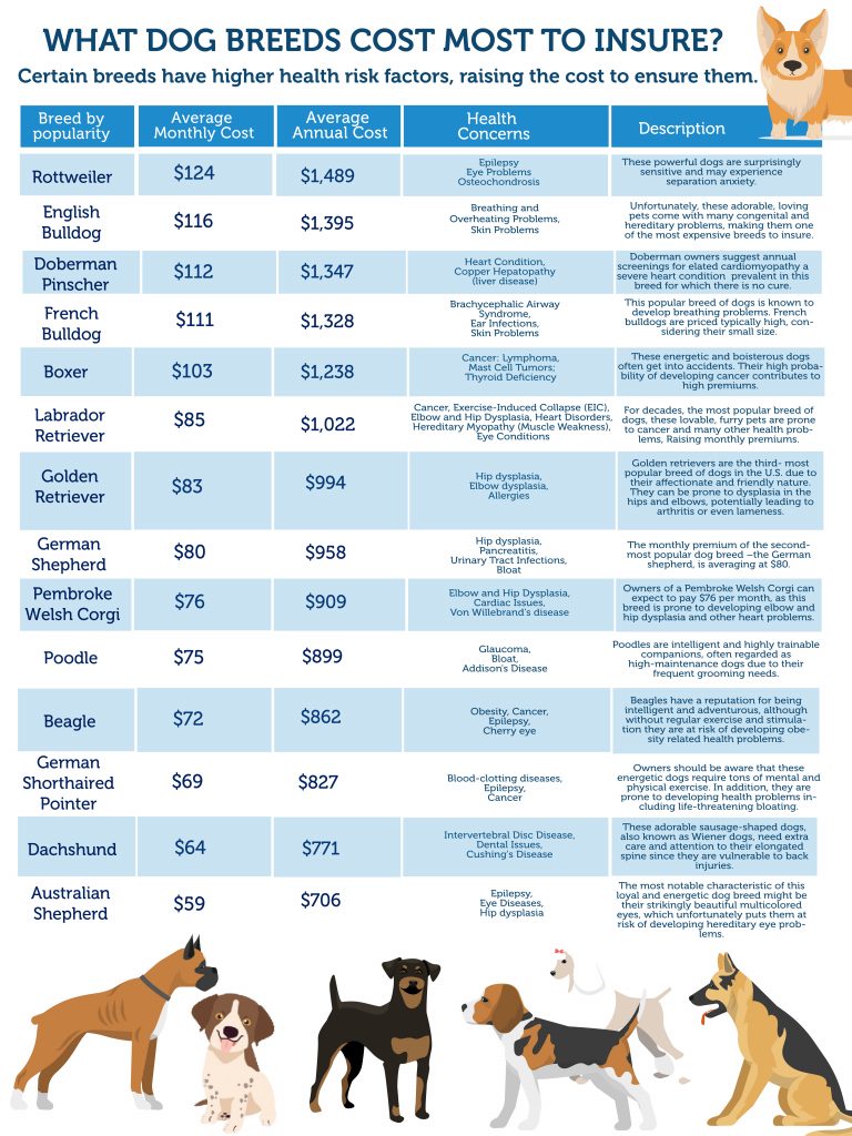 infographic-what-dog-breeds-cost-most-to-insure-shortlister