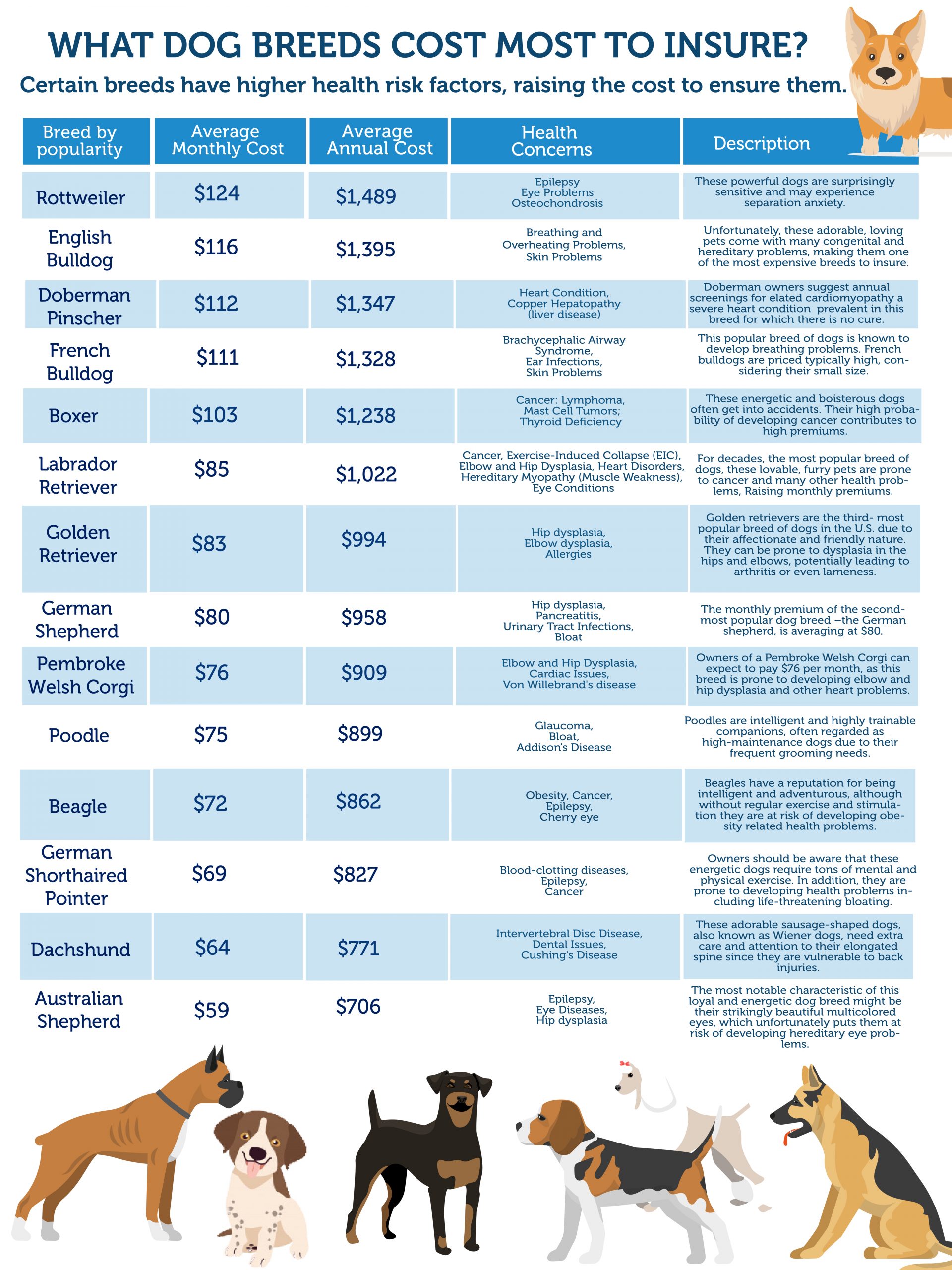 Infographic What Dog Breeds Cost Most to Insure? Shortlister