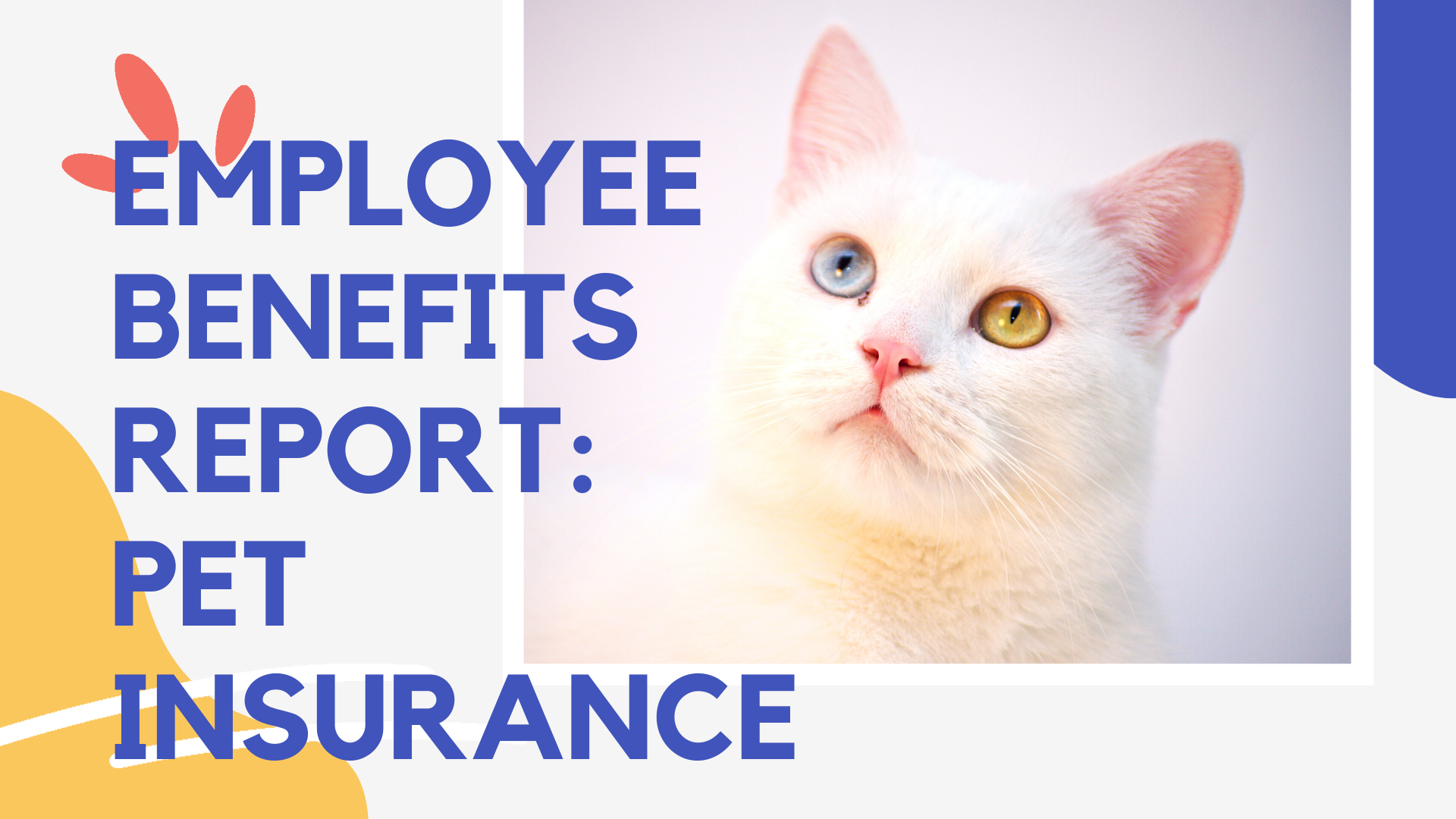 Employee Benefits Report: Pet Insurance | Shortlister